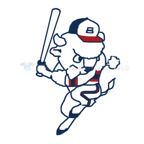 Buffalo Bisons Iron-on Stickers (Heat Transfers)NO.7931